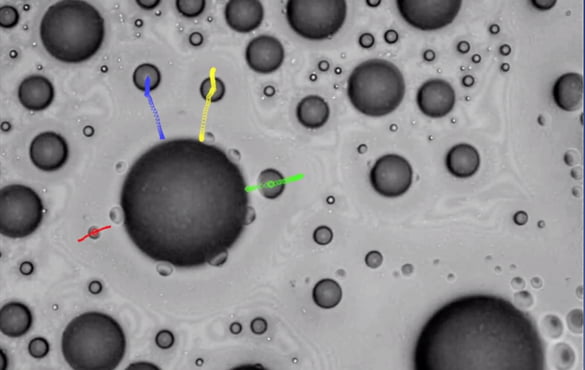 New research from the McKelvey School of Engineering reveals the way in which small water droplets move in the area of influence of a larger droplet on a liquid infused surface. (Image: Weisensee lab)